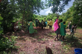 Kadyalunda Apiculture Project